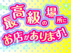 料亭夜遊び姫②